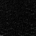 stone cold steve austin