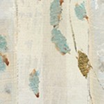 montalcino elm
