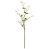 Northlight Japanese Anemone Artificial Floral Sprays - 45.5" - White and Yellow - Set of 4 - 3 of 4