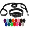 Country Brook Design Martingale Heavyduty Nylon Dog Collar and Double Handle Leash - 4 of 4