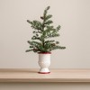 Mini Pine Tree with Ceramic Pot (Set of 2) - 2 of 3