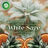 Air Wick Scented Oil Air Freshener - White Sage & Mahogany - 2ct - 3 of 4