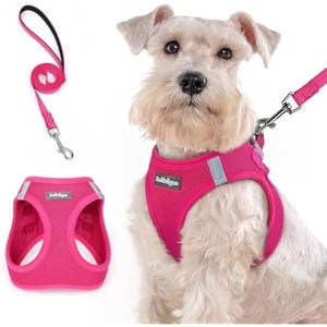 rabbitgoo Dog Harness Medium Sized and Leash Set, Step in Soft Light Puppy Pet Harness, Reflective for Safe Easy Walking, Rosa Red XXL - 1 of 1