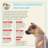 Country Brook Petz HossFit Jr Wide Martingale Dog Collar - Critter Corner Collection - 4 of 4