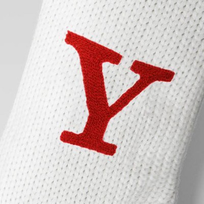 Y