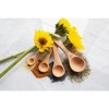 Talisman Designs Laser Etched Honey Bee Beechwood Measuring Spoons, Honey Bee Collection Set of 4 - 2 of 2