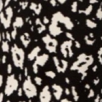 black white cheetah