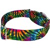 Country Brook Petz® 2 Inch Martingale Dog Collar - 3 of 4