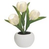 LED Tulip Night Light with Vase, 3 Heads Simulation Flower Table Lamp, Potted Ambient Light for Bedroom Bedside Desktop Decor - 4 of 4