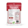 Nature's Turn Freeze-Dried Fruit Snacks - Apple Crisps -  No Sugar Added, Non GMO, Gluten Free, Nothing Artificial - 34g (1.20oz) - 6-PACK - 3 of 4