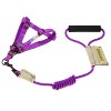 Touchdog  'Faded-Barker' Adjustable Dog Harness and Leash - 2 of 2