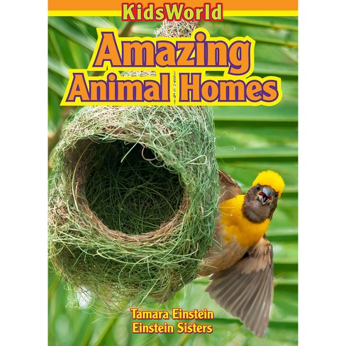 Amazing Animal Homes - By Tamara Einstein (paperback) : Target