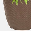 12" Fall Combo Planter - Good Little Garden™ - 3 of 4