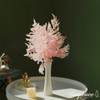 Uniquewise Preserved Real Floral Stems Chic Vase Fillers & Accents for Bouquets Centerpieces - 2 of 4