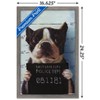 Trends International Lucia Heffernan Art - Boston Mug Shot Framed Wall Poster Prints - image 3 of 4