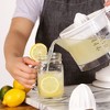 NEW DASH DUAL Citrus Juicer 20 fl oz Capacity 25-Watt Adjustable Pulp  Control $18.99 - PicClick