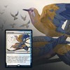 Magic The Gathering Magic: The Gathering Secret Lair: MTG Summer Superdrop Ornithological Studies - 4 of 4