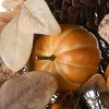 30" Autumn Pine Nut Teardrop - 3 of 4