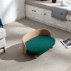 Bellura Pet - Scandinavian style Elevated Dog Bed Pet Sofa With Solid Wood legs and Bent Wood Back, Velvet Cushion, Walnut - 4 of 4