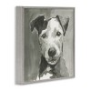 Stupell Industries Muted Dog with Quiet Expression, 24" x 24" - 3 of 4