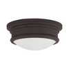 Livex Lighting Astor 2 - Light Flush Mount in  Bronze - 2 of 4