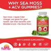 Flamingo Supplements Sea Moss Gummies with Apple Cider Vinegar – 70 Ct - 3 of 3