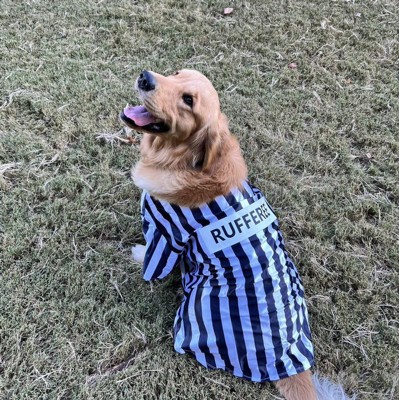 Rufferee - Dog Referree Costume Stock Image - Image of rufferee, dress:  46245949