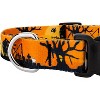Country Brook Petz Deluxe Dog Collar Halloween Collection Made in The U.S.A. - 4 of 4