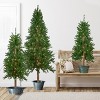 Northlight 3ct Pre-Lit Alpine Artificial Christmas Trees 4ft, 5ft and 6ft - Clear Lights - 2 of 4