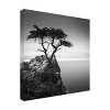 Trademark Fine Art -Dave MacVicar 'The Lone Cypress' Canvas Art - 4 of 4