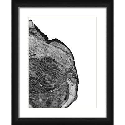 18" x 22" Matted to 2" Caracol Shape Picture Framed Black - PTM Images