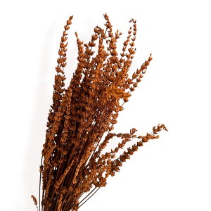 Alilang Decorative Dried Greenery Stems for Home Decoration and Floral Arrangements, 17.7 Inches - 1 of 3
