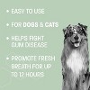 Pet Health Pros; Dog and Cat Breath Water Additive; Oral hygiene, Bad Breath Eliminator, Tartar Remover; Daily Use; 8oz; Colorless - 3 of 4