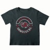 NCAA South Carolina Gamecocks Toddler Boys' 2pk T-Shirt - 3 of 3