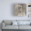 Trademark Fine Art -Albena Hristova 'Shadow Light Gray Horse' Canvas Art - 2 of 4