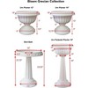 Bloem Indoor/Outdoor Plastic Grecian Urn Planter - 3 of 4