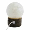 Stony Creek 6.5 Inch Spring Bunny Pre-Lit Ball Base Flower Novelty Sculpture Lights - 3 of 4