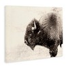 Stupell Industries Shaggy Buffalo Rustic Portrait Vintage Sepia Tone Photography Canvas Wall Art - 3 of 4