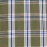 safari green check
