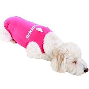 PRODOGG™ Anti-Anxiety Compression Shirt - Small - Medium 159101A - 1 of 4