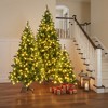 HomeRoots Three Piece Pre Lit Extra Full Frosted Pine Christmas Tree Set - 2 of 4