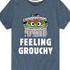 Boys' - Sesame Street - Feeling Grouchy Short Sleeve Graphic T-Shirt - 2 of 4