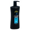 AXE Wash & Care Phoenix 2-in-1 Shampoo & Conditioner, 28 oz - 2 of 2
