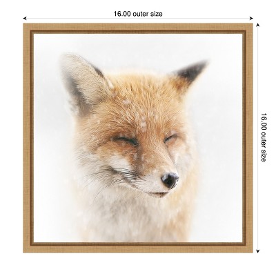 Amanti Art Satisfied Fox by Doris Reindl Canvas Wall Art Print Framed 16-in. x 16-in.