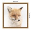 Amanti Art Satisfied Fox by Doris Reindl Canvas Wall Art Print Framed 16-in. x 16-in. - 4 of 4