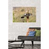 Trends International The Comedy Wildlife Photography Awards: Wendy Kaveney - That Wasn't Here Yesterday Unframed Wall Poster Prints - 2 of 4