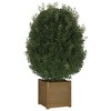 vidaXL Planter Set of 2 Honey Brown Solid Pinewood Standard Planters - 3 of 4