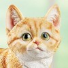 Collections Etc Cute Kitten - 4 of 4