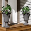 Syemin Planters 2PCS 23" Outdoor Indoor Flower Pot Tall Planters with Drainage Hole, Heavy-Duty Classic Large Flower Pots, Gray, 15.76"*15.76"*23.64" - 2 of 4