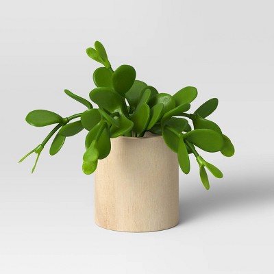 Cb1 Small Succulent Wood Pot - Threshold™